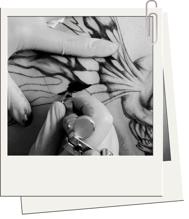 správná aplikace TKTX